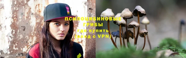 трава Алзамай