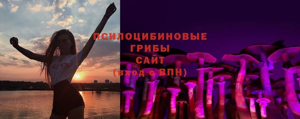 сатива Алексеевка