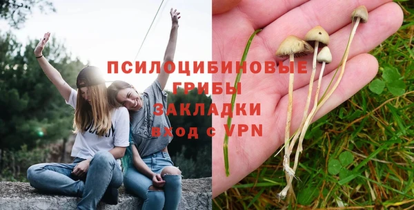 сатива Алексеевка