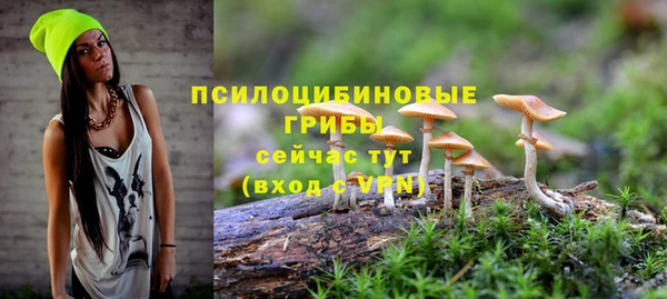 сатива Алексеевка