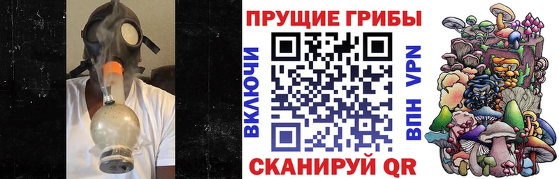 Псилоцибиновые грибы Psilocybine cubensis  OMG маркетплейс  Инсар 